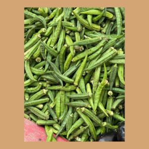 veg dok 5kg main